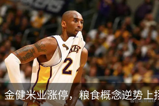 金健米业涨停，粮食概念逆势上扬